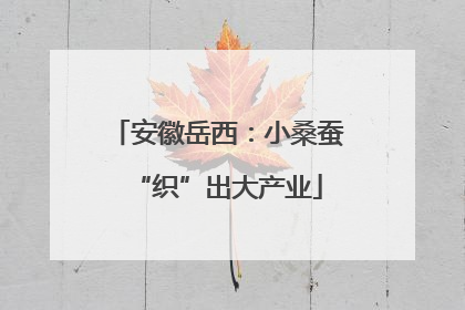 安徽岳西：小桑蚕“织”出大产业