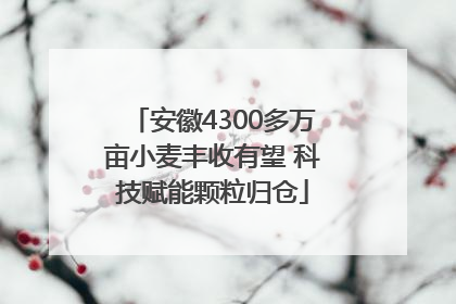 安徽4300多万亩小麦丰收有望 科技赋能颗粒归仓