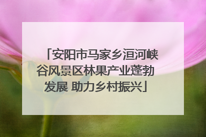 安阳市马家乡洹河峡谷风景区林果产业蓬勃发展 助力乡村振兴