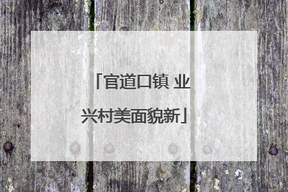 官道口镇 业兴村美面貌新