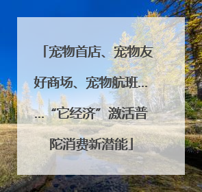 宠物首店、宠物友好商场、宠物航班……“它经济”激活普陀消费新潜能