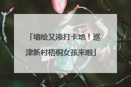 墙绘又添打卡地！巡津新村梧桐女孩来啦