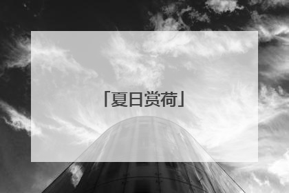 夏日赏荷