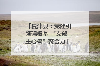 夏津县：党建引领强根基 “支部主心骨”聚合力