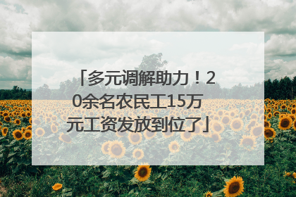 多元调解助力！20余名农民工15万元工资发放到位了