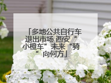 多地公共自行车退出市场 西安“小橙车”未来“骑”向何方