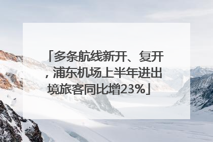 多条航线新开、复开，浦东机场上半年进出境旅客同比增23%