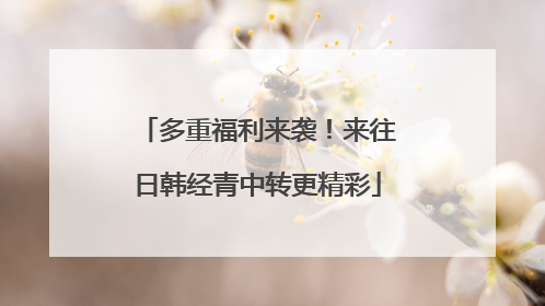 多重福利来袭！来往日韩经青中转更精彩