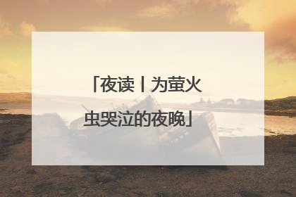 夜读丨为萤火虫哭泣的夜晚