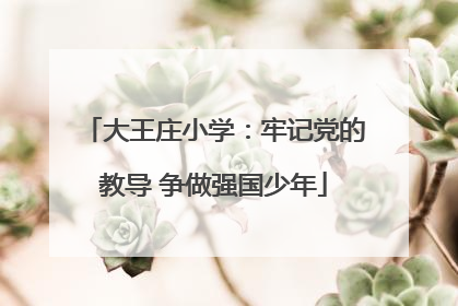 大王庄小学：牢记党的教导 争做强国少年