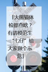 大熊猫体检都查啥？有请模范生“七仔”给大家做个示范