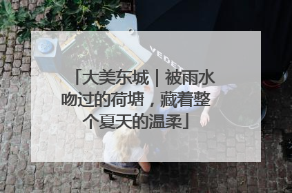大美东城｜被雨水吻过的荷塘，藏着整个夏天的温柔