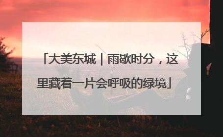 大美东城｜雨歇时分，这里藏着一片会呼吸的绿境