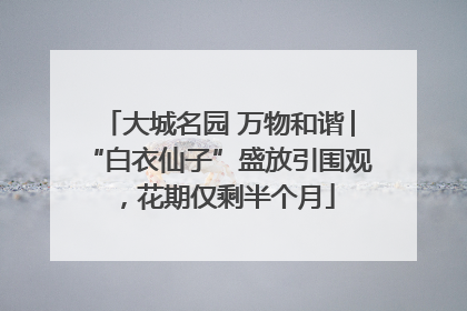 大城名园 万物和谐│“白衣仙子”盛放引围观，花期仅剩半个月