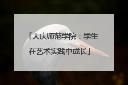 大庆师范学院：学生在艺术实践中成长