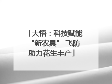 大悟：科技赋能“新农具” 飞防助力花生丰产