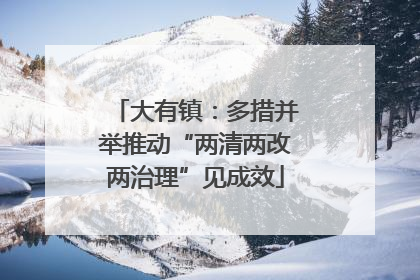 大有镇：多措并举推动“两清两改两治理”见成效