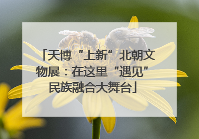 天博“上新”北朝文物展：在这里“遇见”民族融合大舞台