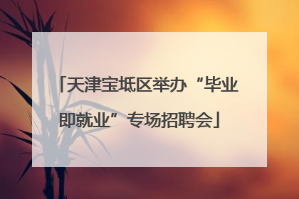 天津宝坻区举办“毕业即就业”专场招聘会