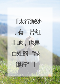 太行深处，有一片红土地，也是百姓的“绿银行”