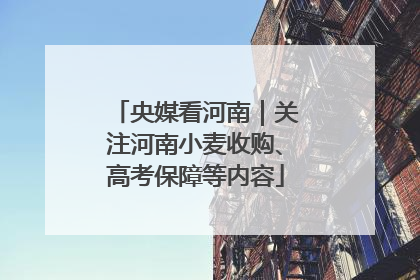 央媒看河南｜关注河南小麦收购、高考保障等内容