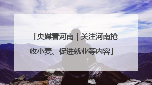 央媒看河南｜关注河南抢收小麦、促进就业等内容
