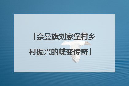 奈曼旗刘家堡村乡村振兴的蝶变传奇