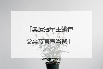 奥运冠军王懿律父亲节官宣当爸