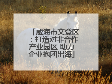 威海市文登区：打造对非合作产业园区 助力企业抱团出海