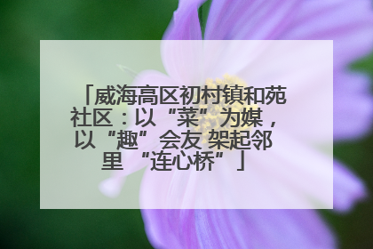威海高区初村镇和苑社区：以“菜”为媒，以“趣”会友 架起邻里 “连心桥”