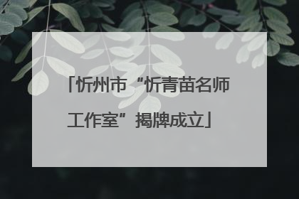 忻州市“忻青苗名师工作室”揭牌成立
