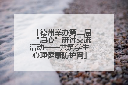 德州举办第二届“启心”研讨交流活动——共筑学生心理健康防护网