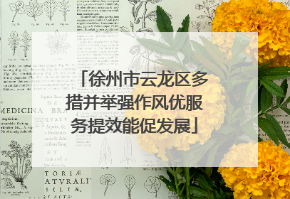 徐州市云龙区多措并举强作风优服务提效能促发展