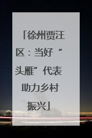 徐州贾汪区：当好“头雁”代表 助力乡村振兴