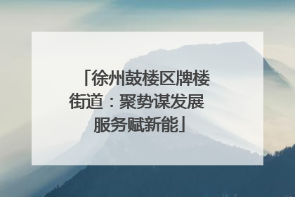徐州鼓楼区牌楼街道：聚势谋发展 服务赋新能