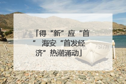 得“新”应“首” 海安“首发经济”热潮涌动
