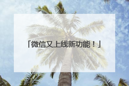 微信又上线新功能！