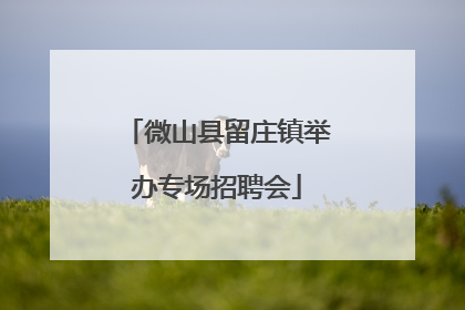 微山县留庄镇举办专场招聘会