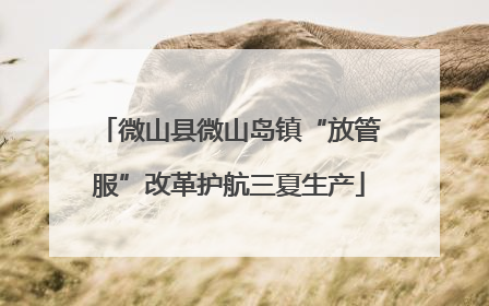 微山县微山岛镇“放管服”改革护航三夏生产