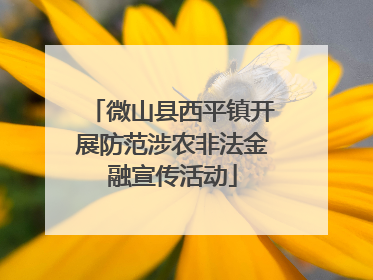 微山县西平镇开展防范涉农非法金融宣传活动