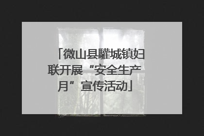 微山县驩城镇妇联开展“安全生产月”宣传活动