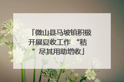 微山县马坡镇积极开展夏收工作 “秸”尽其用助增收