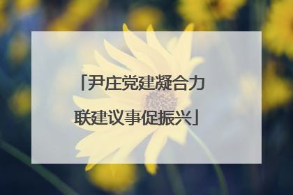尹庄党建凝合力 联建议事促振兴