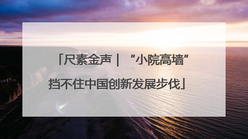 尺素金声｜“小院高墙”挡不住中国创新发展步伐
