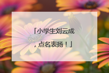 小学生刘云成，点名表扬！