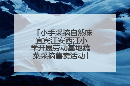 小手采摘自然味 宜宾江安西江小学开展劳动基地蔬菜采摘售卖活动
