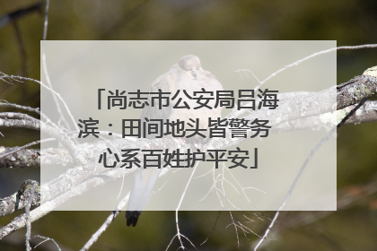 尚志市公安局吕海滨：田间地头皆警务 心系百姓护平安