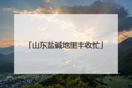 山东盐碱地里丰收忙