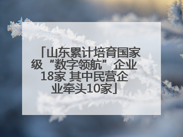 山东累计培育国家级“数字领航”企业18家 其中民营企业牵头10家