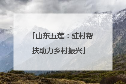 山东五莲：驻村帮扶助力乡村振兴